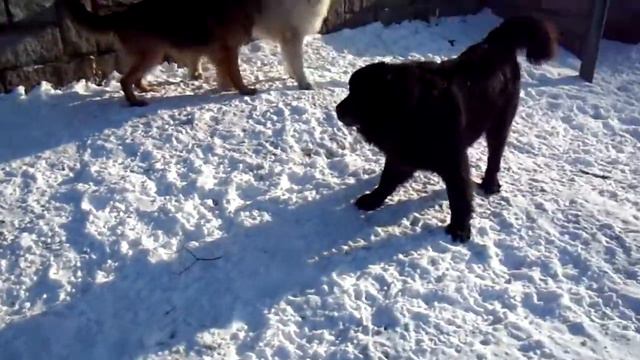 Charon, Bachus, and friend of theirs Argos happy times part 1 смотреть онлайн