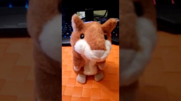 Говорящий хомяк-повторюшка