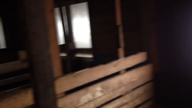 Экскурсия в свинарник. смотреть онлайн