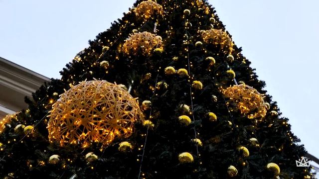 Новогодняя Елка - Курс 2023 - Пушкинский || Уличные елки - новогоднее оформление смотреть онлайн