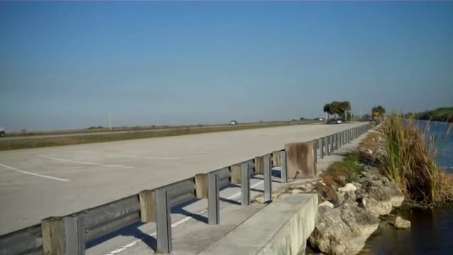 Susannah's Scoop...TrekEast: Wildlife Crossings on Alligator Alley смотреть онлайн