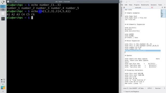 13. Echo command syntax смотреть онлайн