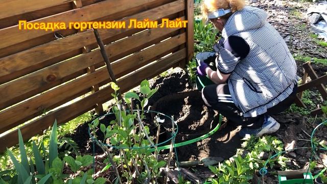 Красивый сад.Огород.Мои ПОДАРКИ.Готовлю огород к посадке овощных культур.Чудеса в ПОДАРКЕ.Экзотика смотреть онлайн