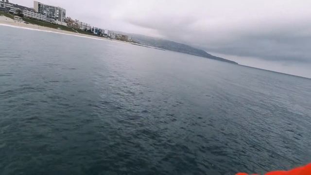 Pacific Mackerel Fishing