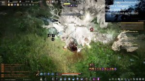 бдо Нова наследие на мирумогах соло 232атк