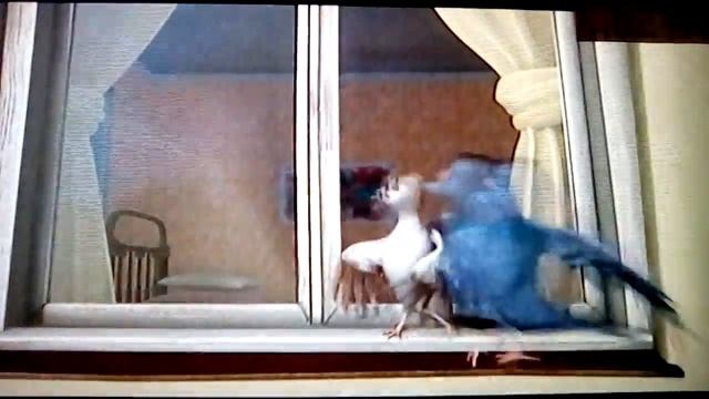 Белка и Стрелка (озорная семейка)