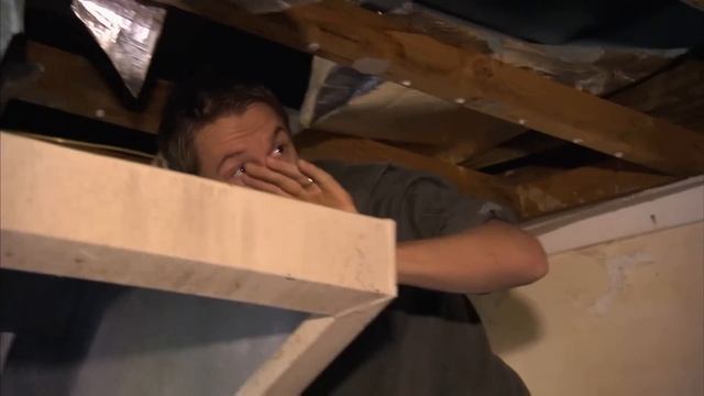 7m Long Pythons are getting FREAKY at a Rowing Club House ?? | Bondi Vet смотреть онлайн