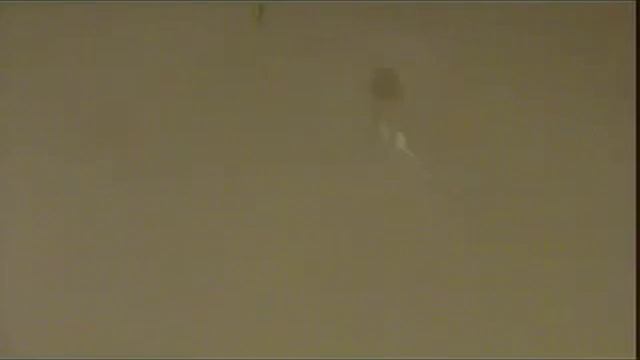 бокоплав смотреть онлайн