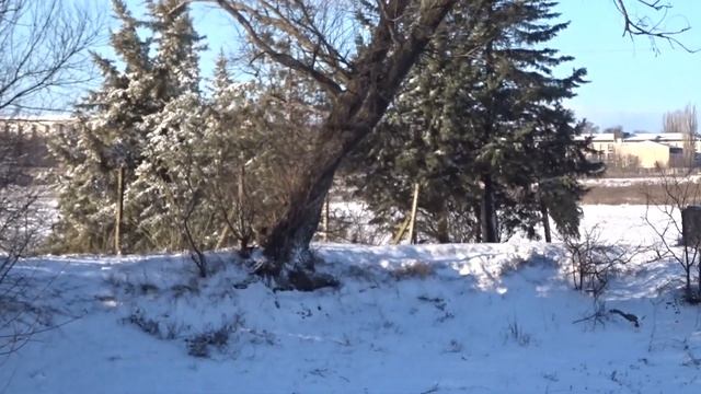 Зима. Маленькие уголки природы - водоём (ставок) в посёлке Гвардейское.Крым 16 января 2019 год смотреть онлайн