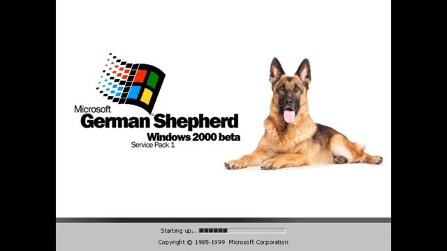 Microsoft Windows Concepts 17: Liberum Artium