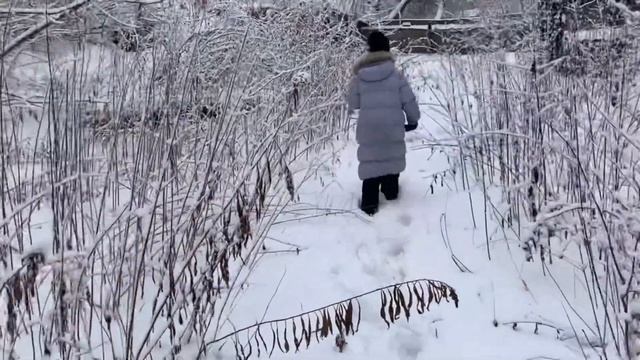 Новый год на даче или Калмыцкий чай! смотреть онлайн