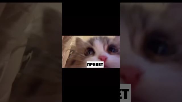 Было же по любому? ?❤️