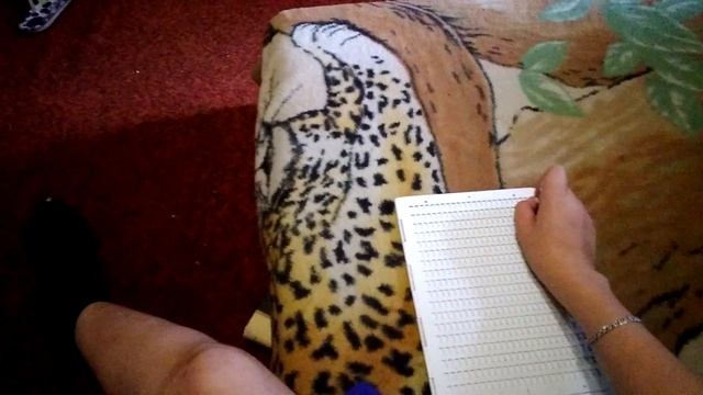 VLOG Про метод письма и чтение по брайлю смотреть онлайн