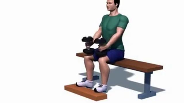 Правильное выполнение - Подъем на носки сидя (гантели) смотреть онлайн