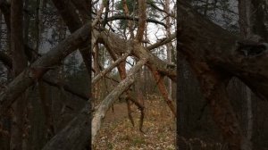 Облака в небо спрятались.