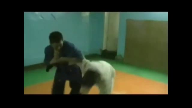 Дайто-рю Айки-дзюцу линия Такеды Мунемицу смотреть онлайн