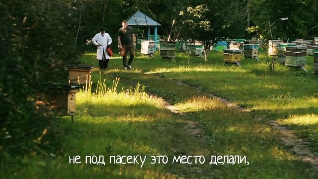 Hello, honey - пасека Руслана Шроо в Алтайском крае смотреть онлайн