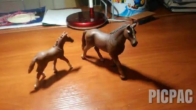 Ганноверские лошади смотреть онлайн