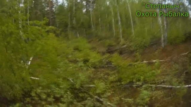 Фотоловушки Медведи Степаныча Поездка к зимовью (2 часть) 01 06 20 смотреть онлайн