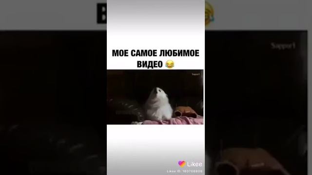 Сколько же он потратил на это времени? смотреть онлайн