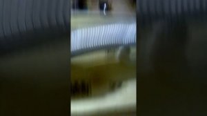 Как я готовлю кулики