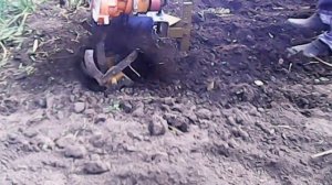 Культиватор Кумир в работе Результат