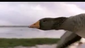 Научись играть на гитаре и в путь