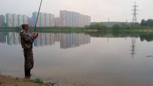Тверь. Волга. Ловля чехони по большой воде.