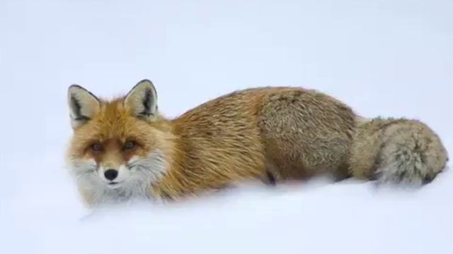 Притча о женщине.wmv смотреть онлайн