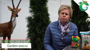 Лучшее Удобрение для Хвойных ?