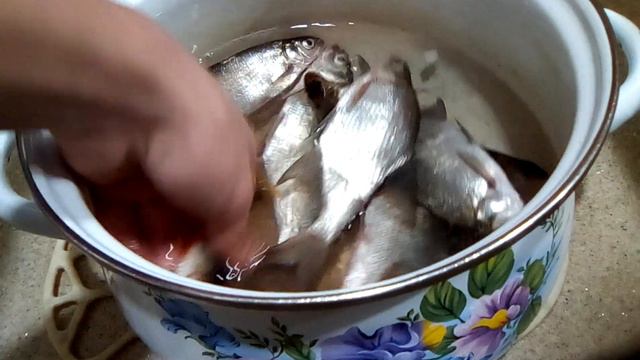 Отчёт о рыбалке 2020 года в Январе смотреть онлайн