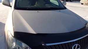 гремит муфта vvti