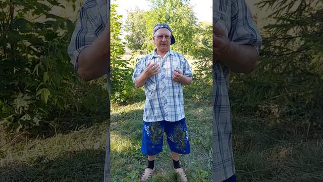 Активация стихий смотреть онлайн