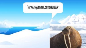 Животные Севера (видео урок для детей от 3 до 5 лет)