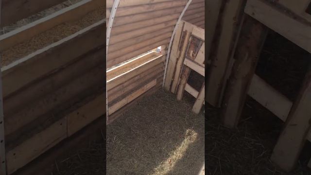 Овчарня на 10овцематок смотреть онлайн