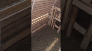 Овчарня на 10овцематок