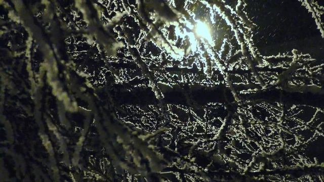 Омск сказочный 27 11 19 4К смотреть онлайн