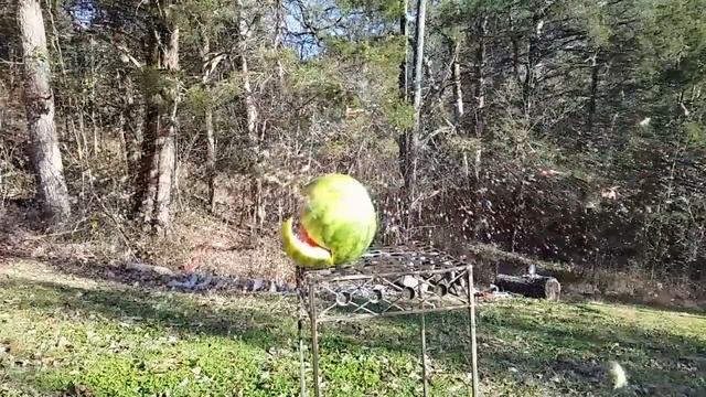 Honor Defense Watermelon Shoot смотреть онлайн