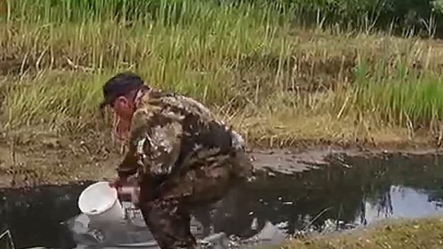 В реках Ачинска содержание вредных веществ более чем в 50 раз превышает норму. смотреть онлайн
