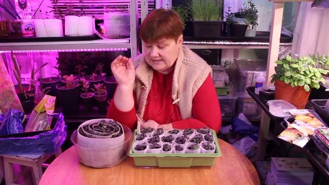 Кулинарные Эксперименты