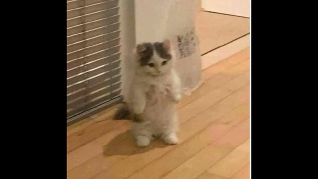 Нервы - Батареи ( speed up ) смотреть онлайн