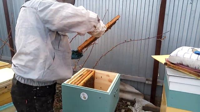 Приобрел пчелопакеты, карпатка. смотреть онлайн