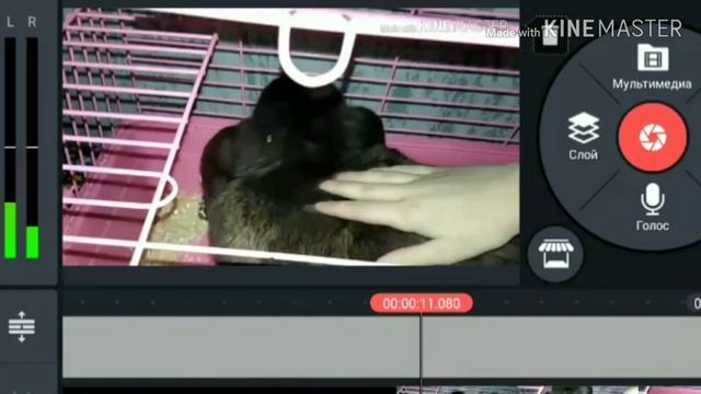 Как делать видео кайн мастер в полный экран смотреть онлайн