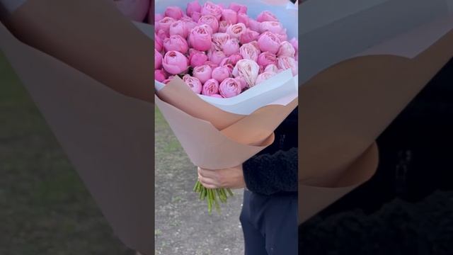 25 пионовидных роз кустовых ?SPBROZA.RU #роза #101роза #цветы смотреть онлайн