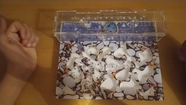 Моя муравьиная ферма! 😀🐜 смотреть онлайн