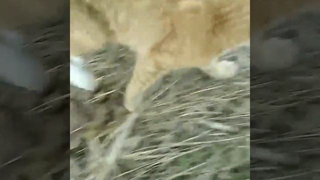 Мир интересен и так хочется все узнать ).mp4 смотреть онлайн