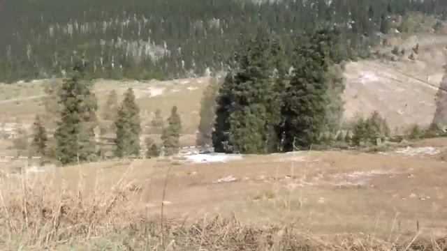 ВЛОГ БАО Большое Алматинское Озеро Какая КРАСОТА смотреть онлайн