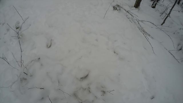 Зимняя рыбалка в Финляндии. Щука на жерлицы. После морозов. Отсутствие клёва. Добыча сетевиков. смотреть онлайн