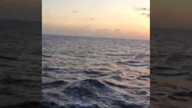 Карибское море Закат смотреть онлайн