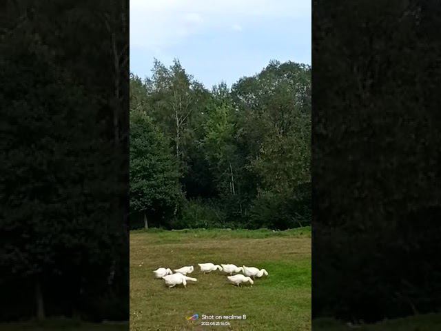 23 августа 2022 г. смотреть онлайн